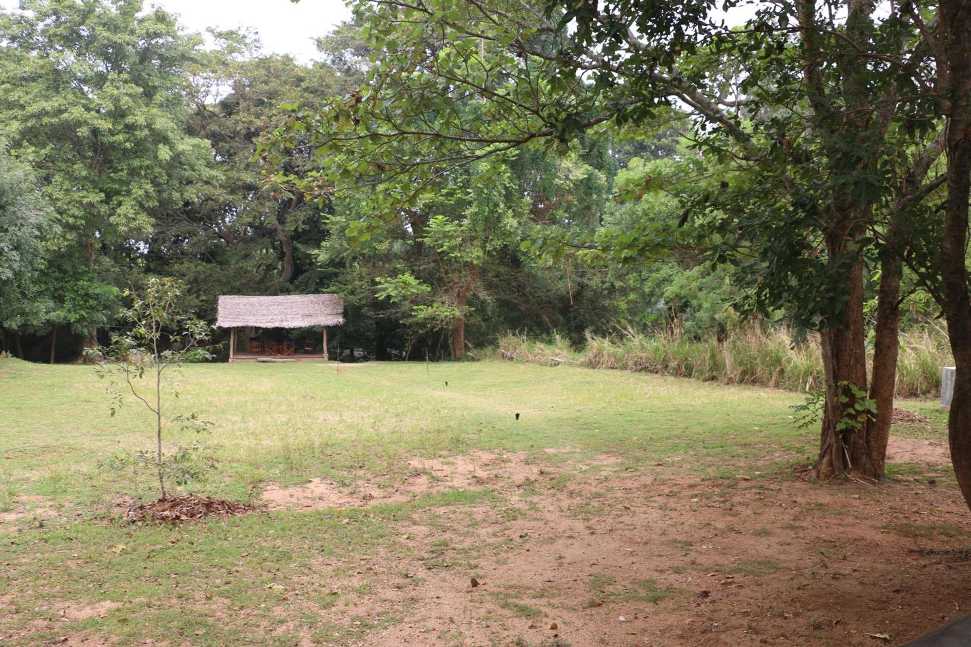 Wildescape, Yala Blocks 3 & 5 Villa Buttala Buitenkant foto