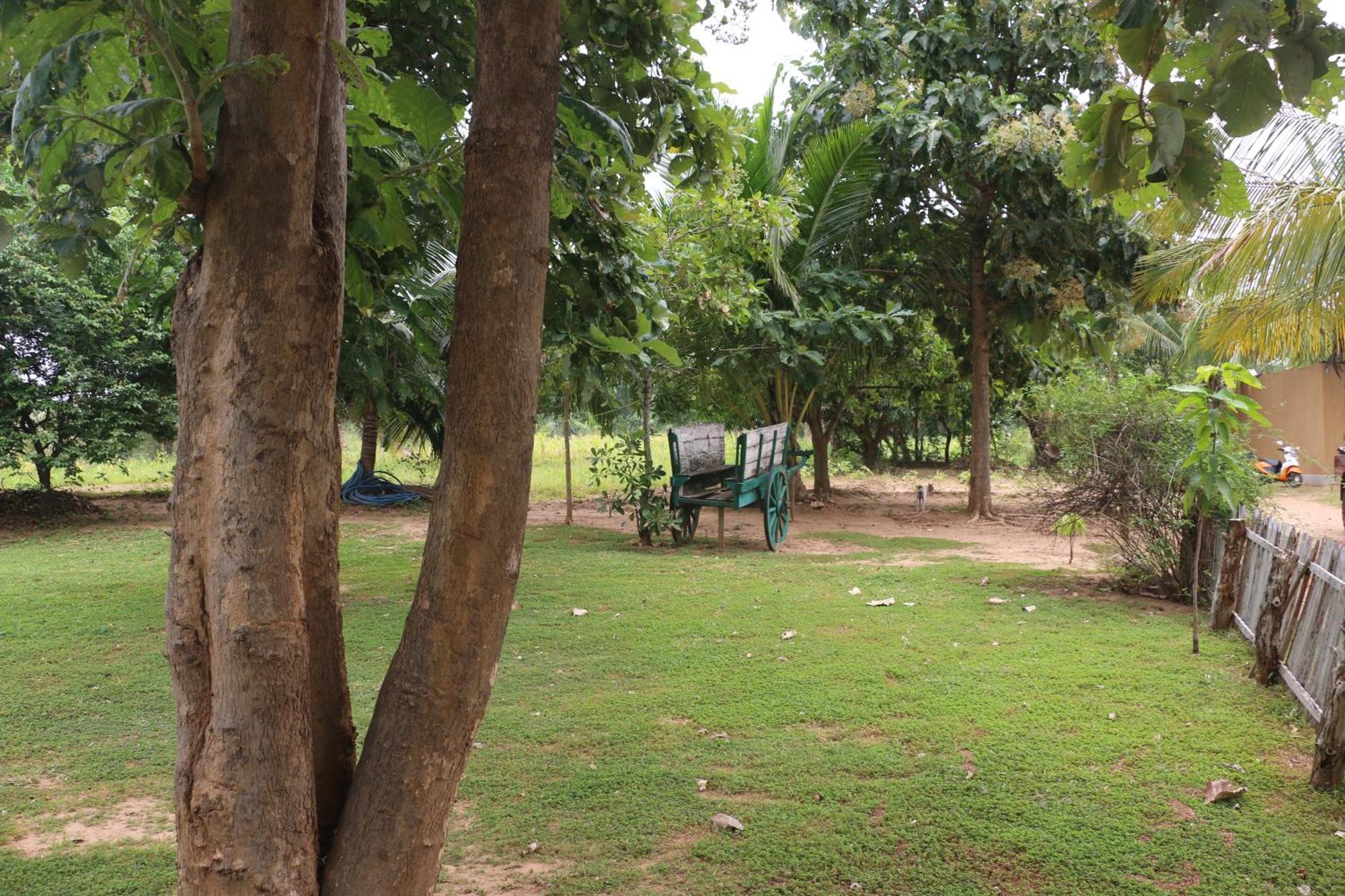 Wildescape, Yala Blocks 3 & 5 Villa Buttala Buitenkant foto