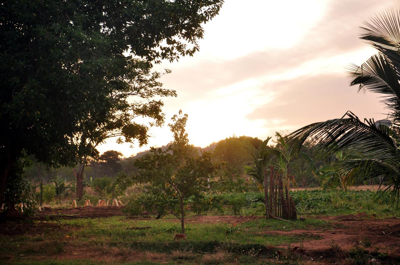 Wildescape, Yala Blocks 3 & 5 Villa Buttala Buitenkant foto