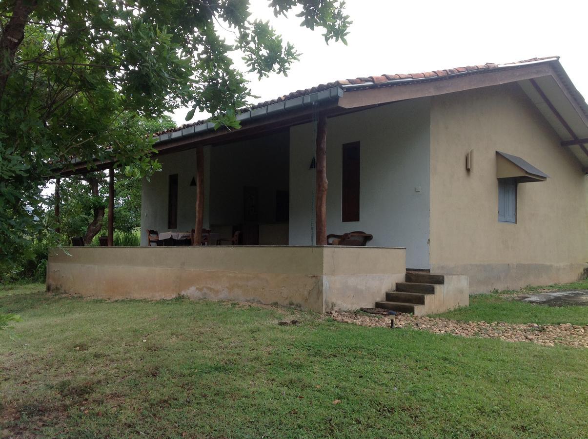 Wildescape, Yala Blocks 3 & 5 Villa Buttala Buitenkant foto